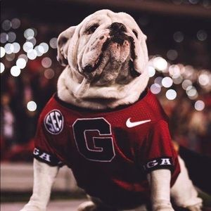 Meet your Posher, Adam